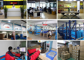 الصين Lockey Safety Products Co.,Ltd مصنع